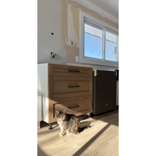 3 Drawer Base - White Melamine Box - Hardwood Doors - Image 4